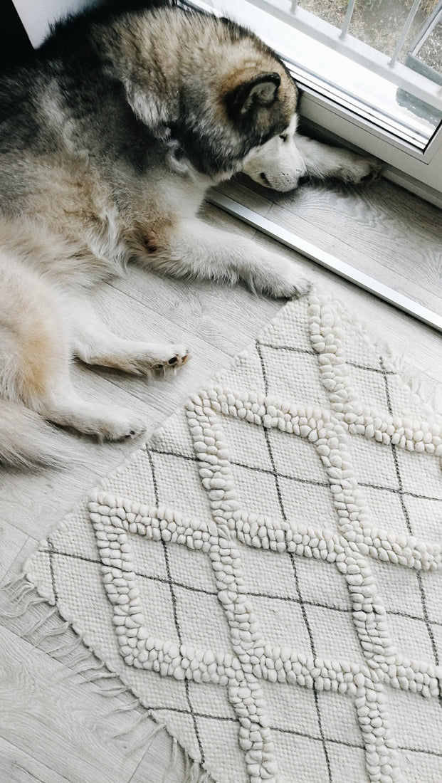 Sula rug — minimalist ivory-on-ivory wool rug, sculptural bobble-weave diamonds paired with delicate hand-embroidery, traditional Ukrainian craftsmanship