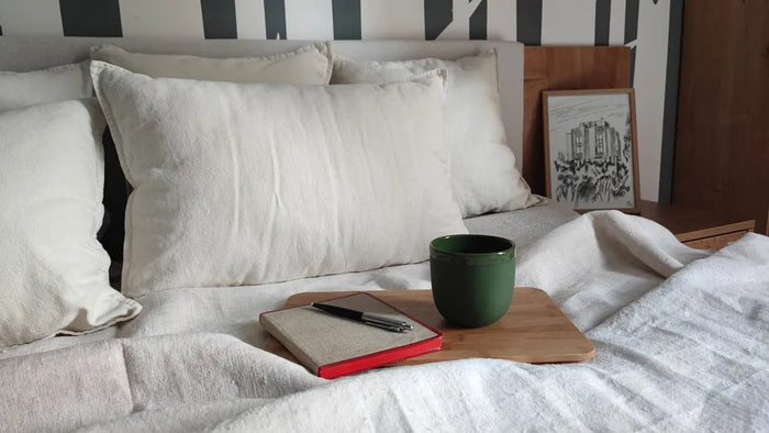 Mapico premium linen cushion as a statement accent piece in a contemporary minimalist living room